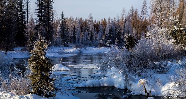 Mongolia – Wild Taiga Winter Tour - Nomadic of Blue Sky 8