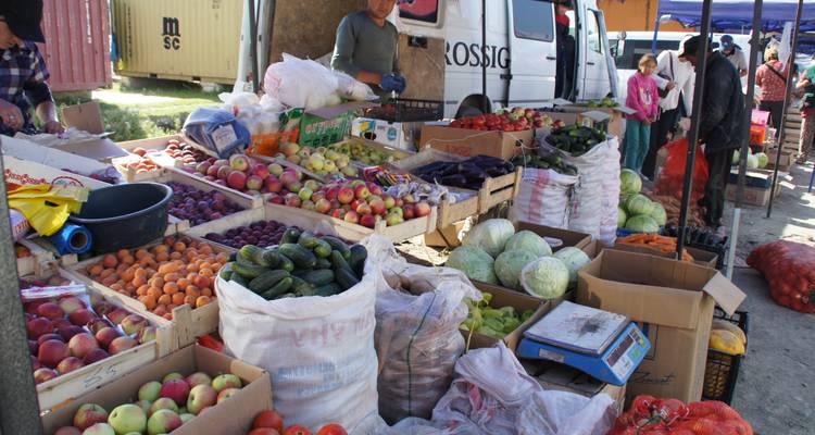 Botanical tour in Tien Shan Mountains - Steppe and sky travel 6