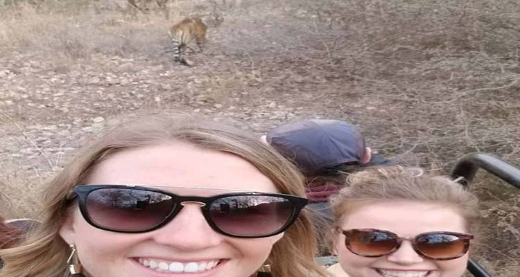 Safari de tigres le même jour au départ de Jaipur, tout compris - Fragrance of Taj 3