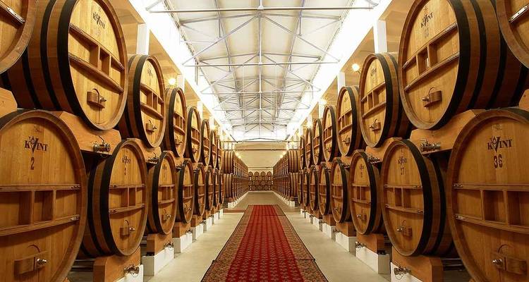 Grote houten wijnvaten in een symmetrische binnenruimte.