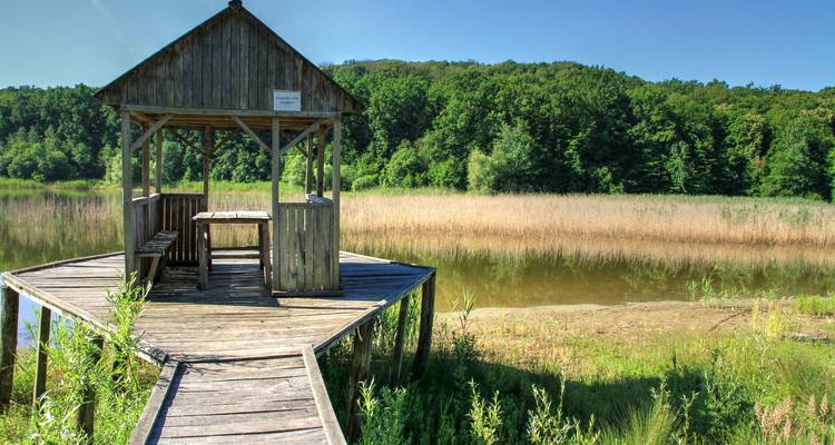 Gazebo en bois près d'un étang réfléchissant avec une forêt en arrière-plan.
