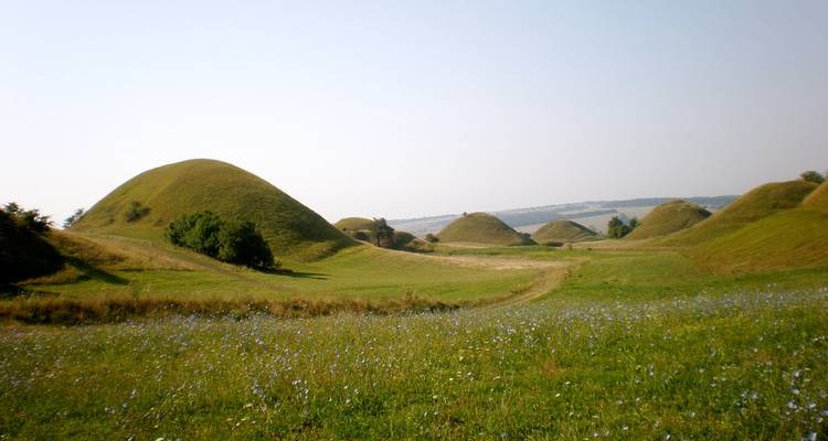 Rolling green hills under a clear sky.
