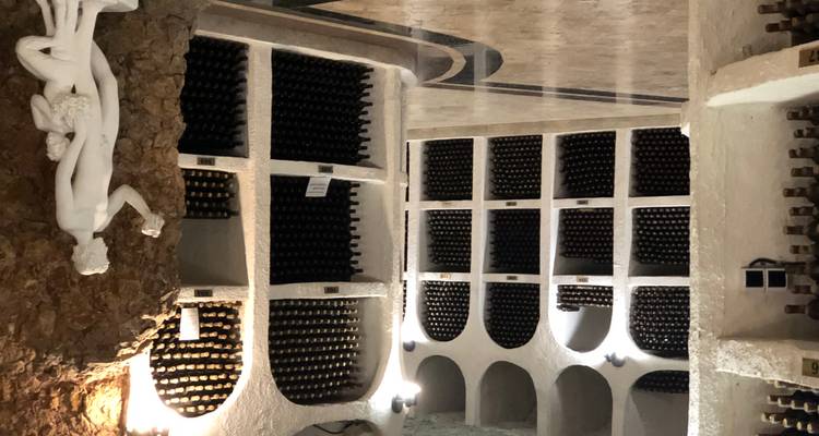 Extensive wine cellar with rows of wine bottles.