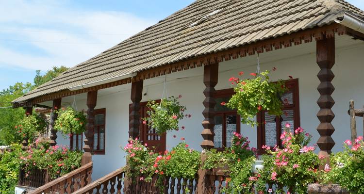 Maison traditionnelle avec un jardin.