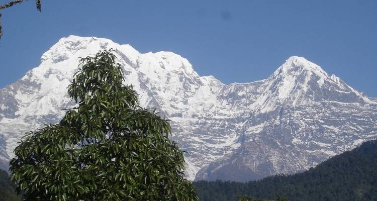 Mohare Danda Panorama excursionismo 4 días - Mega Mount Treks and Expedition Pvt.Ltd.  2