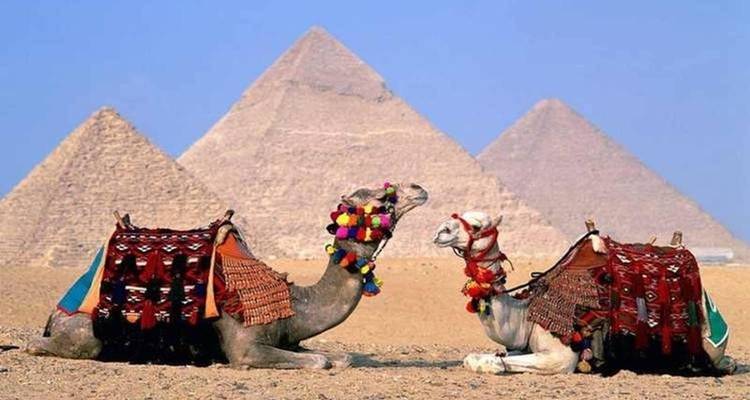Circuit Égypte King Tutankhamun Hôtel à Stander 5* Centre- ville du Caire et Croisière sur le Nil 5* Stander - 7 jours -  Ibermundo Travel Egypt 2