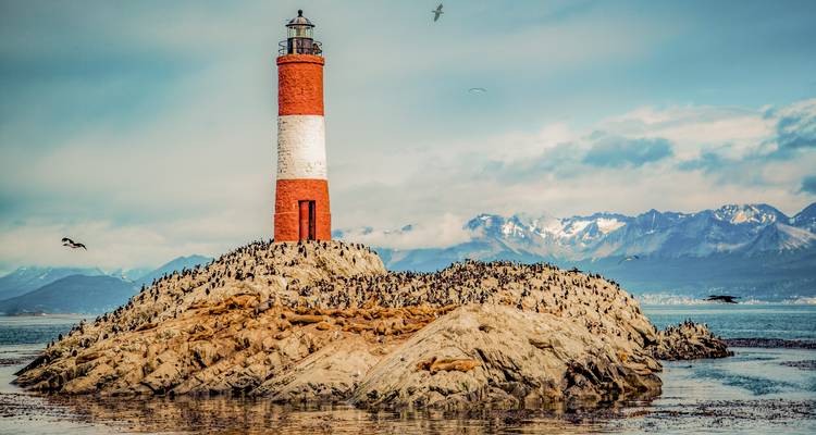 Aventura familiar en la Patagonia: Pingüinos y Glaciares - Say Hueque Argentina & Chile Journeys 7