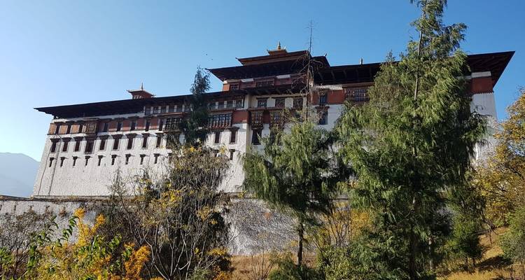 Een majestueus traditioneel gebouw omgeven door groen.
