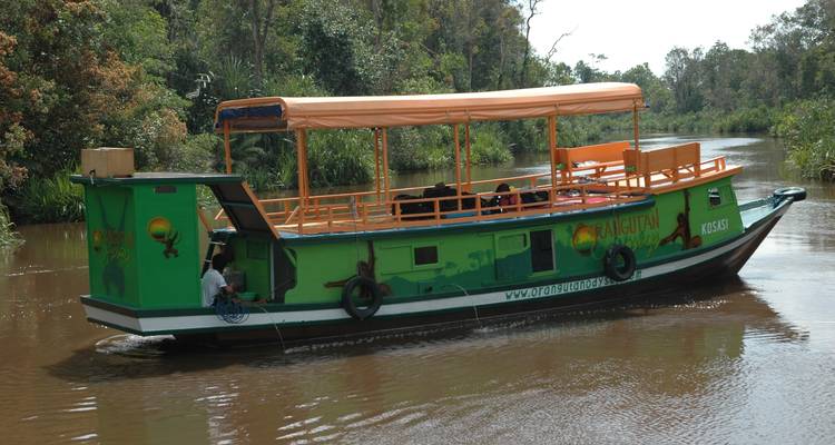 Grandes criaturas orangutanes y dragones - No Roads Expeditions 6