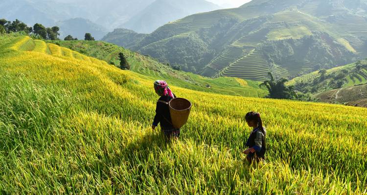 Aventure au Vietnam et au Cambodge en 15 jours - Realistic Asia 3