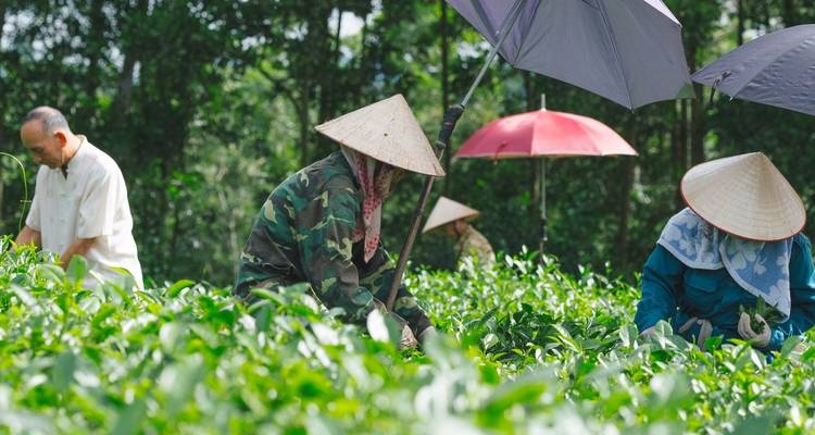Descubre Vietnam, Camboya y Tailandia en 22 días - Realistic Asia 3