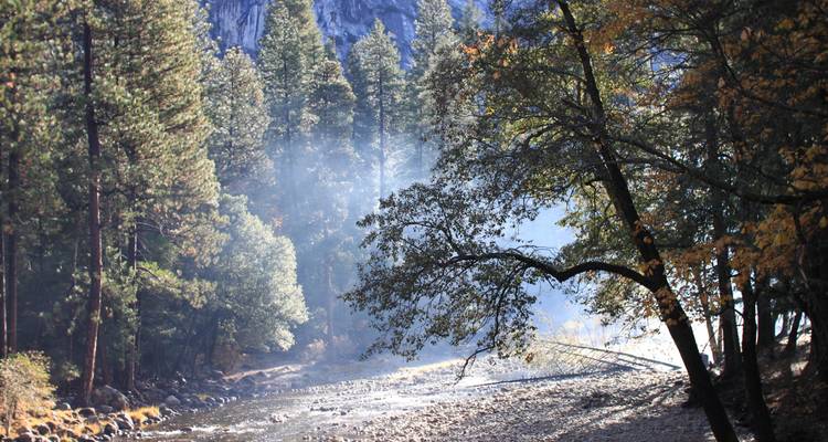 Best of California (Small Groups, 9 Days) - Insight Vacations 9
