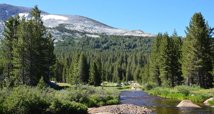 Une rivière pittoresque avec une forêt environnante et des montagnes en arrière-plan.