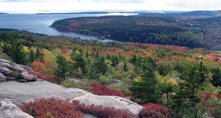 Autumn landscape with colorful trees and water view.