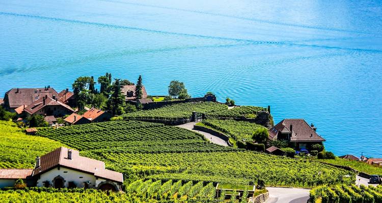 Carreteras nacionales de Suiza (Grupos pequeños) - Insight Vacations 9