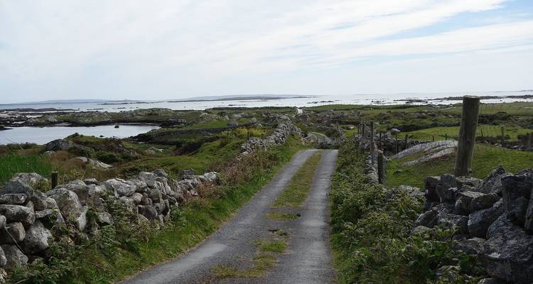 Elégance irlandaise (petits groupes) - Insight Vacations 4