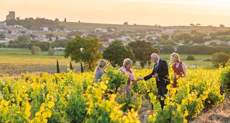 Group of people in a vineyard at sunset with a scenic backdrop.
