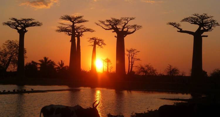 Madagascar South  in the 4 corners - Green Island Discovery 1