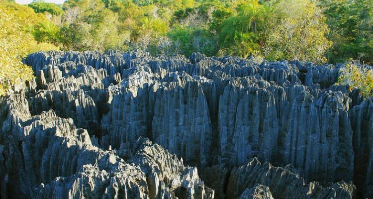 Madagascar South  in the 4 corners - Green Island Discovery 3