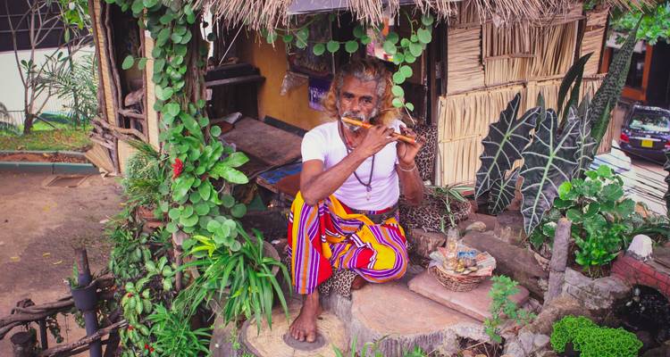 Paquete de 5 días en Sri Lanka - Holiday Lanka Tours 6
