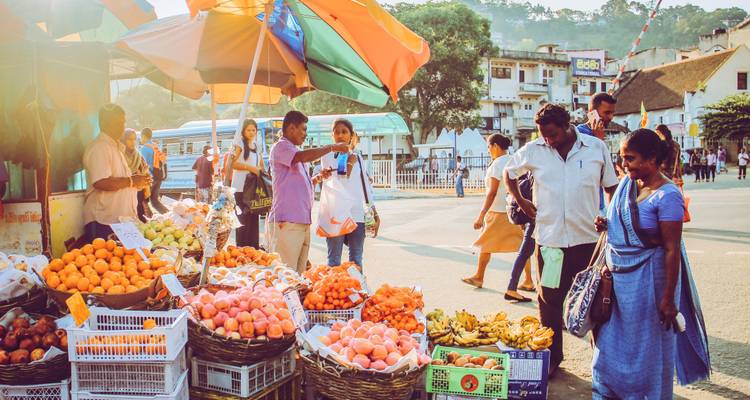 Paquete de 5 días en Sri Lanka - Holiday Lanka Tours 3