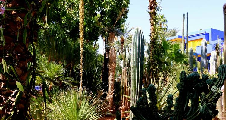 The Coast of Southern Morocco: 7 Day Tour from/to Casablanca: Atlantic Beaches and Atlas Mountains (Private Tour) - Explore Morocco Travel 3