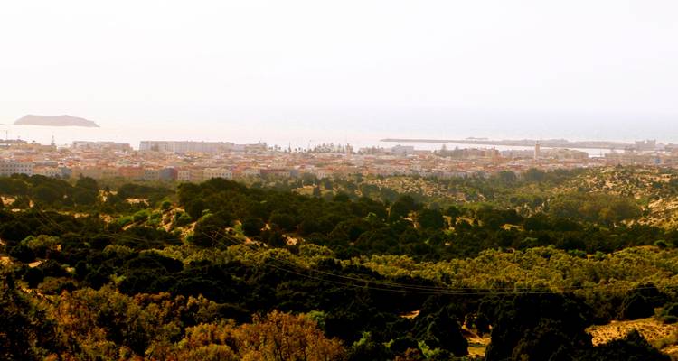 The Coast of Southern Morocco: 7 Day Tour from/to Casablanca: Atlantic Beaches and Atlas Mountains (Private Tour) - Explore Morocco Travel 8