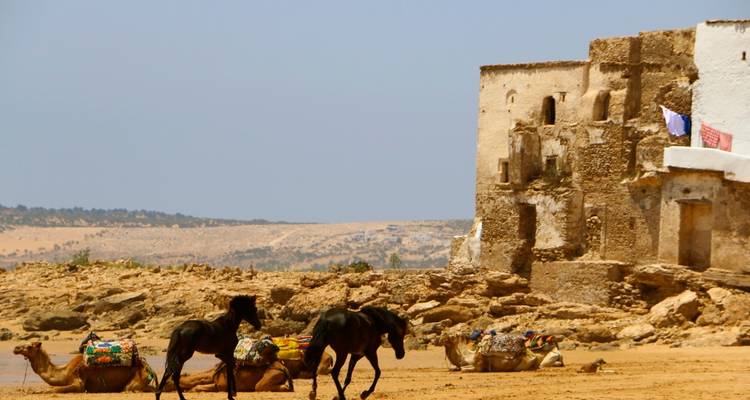 The Coast of Southern Morocco: 7 Day Tour from/to Casablanca: Atlantic Beaches and Atlas Mountains (Private Tour) - Explore Morocco Travel 10