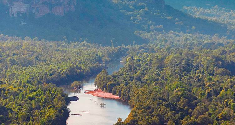 Vue aérienne d'une rivière sinueuse traversant une forêt tropicale dense sous de hauts escarpements de grès à Kakadu.