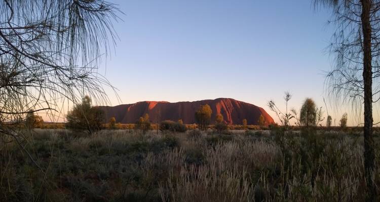 Experiencia en Uluru y Kata Tjuta - Escapada, 3 días - AAT Kings 6