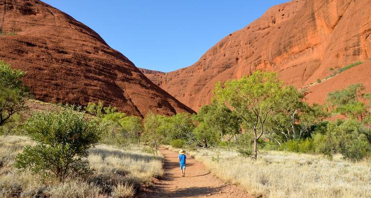 Une personne marchant le long d'un sentier bordé de grandes formations rocheuses rouges et de verdure.