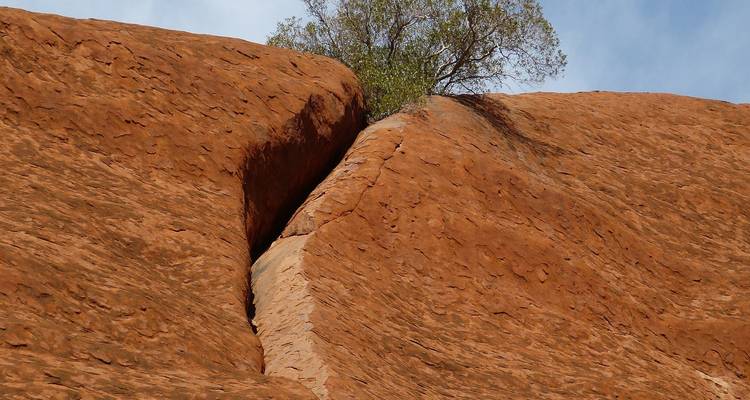 Un rocher rouge remarquable avec un seul arbre accroché au sommet, se détachant sur un ciel bleu.