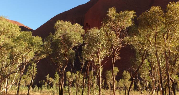 Lo mejor de Uluru y Kata Tjuta - Escapada, 2 días - AAT Kings 1