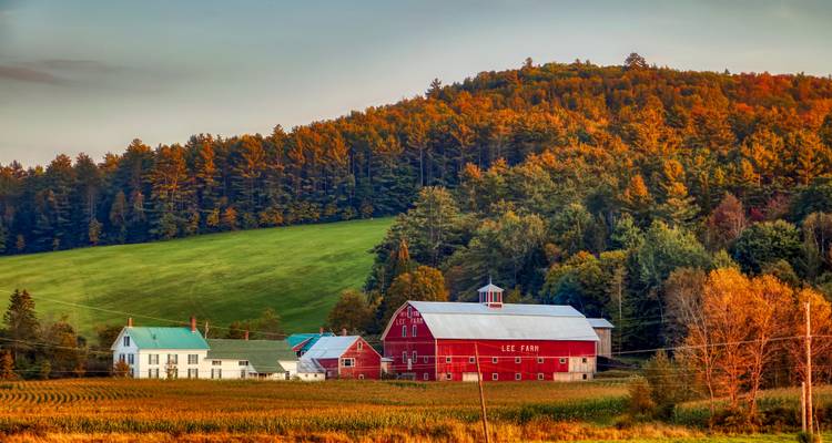 New England's Fall Foliage (Small Groups) - Insight Vacations 3