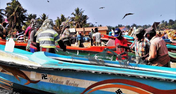 Sri Lanka en 8 días - Holiday Lanka Tours 6