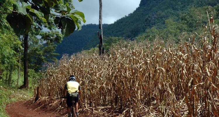 Le nord de la Thaïlande à vélo - SpiceRoads Cycling 7