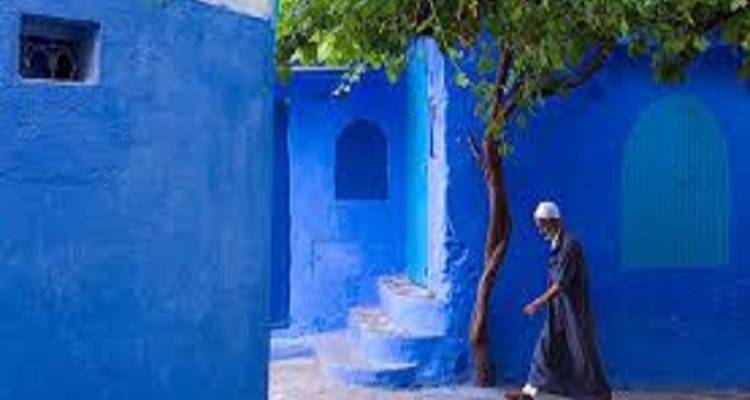 Privado 12 Días desde Marrakech *Lo más destacado de Marruecos - Cultural Morocco Tours 2