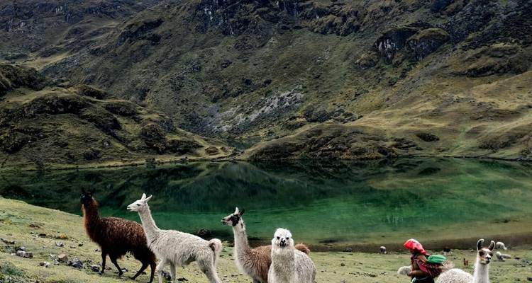 Trek de Lares au Machu Picchu - Tierras Vivas 8