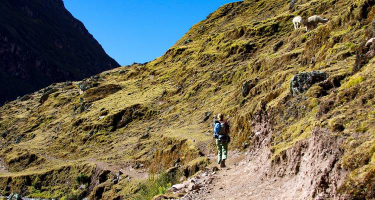 Trek de Lares au Machu Picchu - Tierras Vivas 10