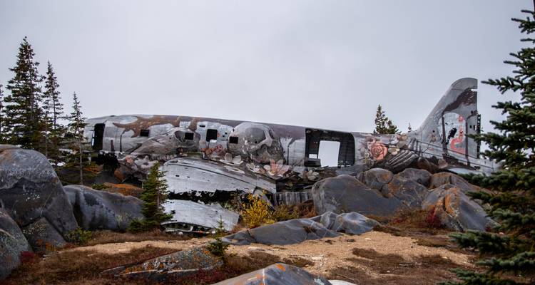 Aventura clásica con osos polares en Churchill - Frontiers North Adventures 8