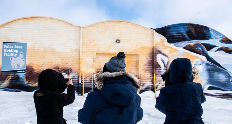 Aventura clásica con osos polares en Churchill - Frontiers North Adventures 3