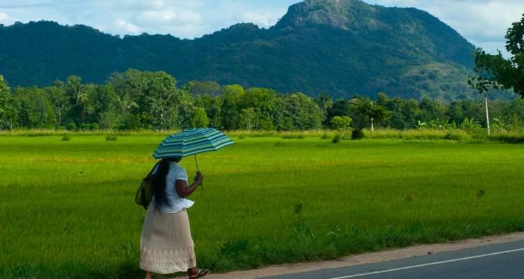 Lo mejor de India y Sri Lanka con relax en la playa - Payless tours india 3