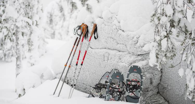 La magie de Noël dans la ville natale du Père Noël - Nordic Unique Travels 3
