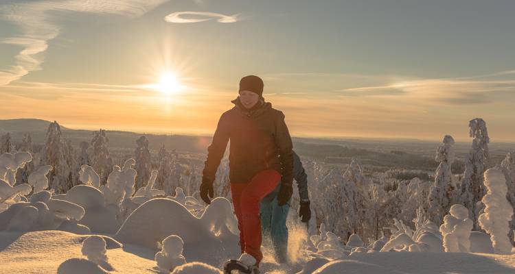 La magie de Noël dans la ville natale du Père Noël - Nordic Unique Travels 2
