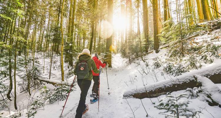 La magie de Noël dans la ville natale du Père Noël - Nordic Unique Travels 8