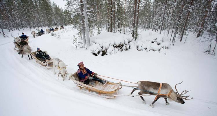 La magie de Noël dans la ville natale du Père Noël - Nordic Unique Travels 10