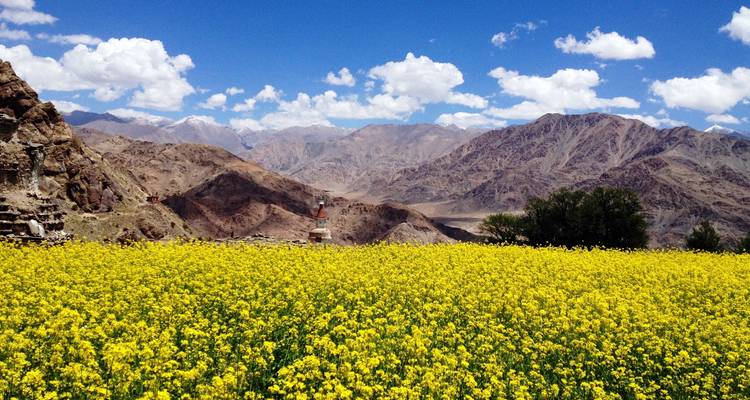 In The Land Of Lama - The Great Ladakh Tour - MTA Destination Management Company 2