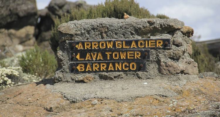 6 días ascensión Kilimanjaro ruta Marangu - Africa Outland Safaris 6
