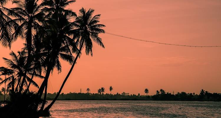 Palmen, die sich als Silhouetten gegen einen Sonnenuntergang über dem Wasser abzeichnen.