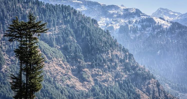 Lo mejor del Himalaya y el triángulo de oro en la India - 12 días - Amazing India Tours 4